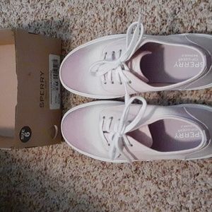 Brand new! SPERRY